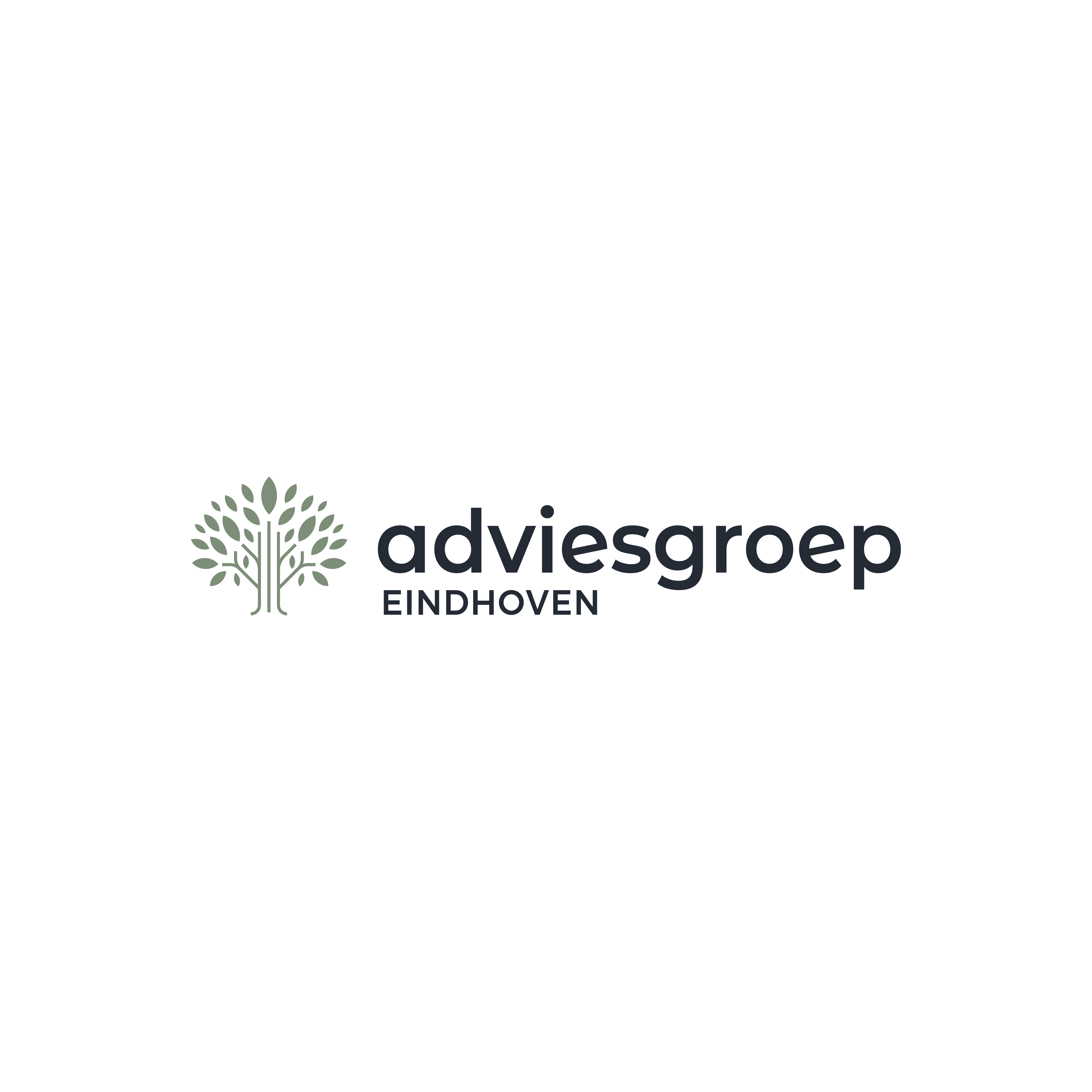 Adviesgroep Eindhoven